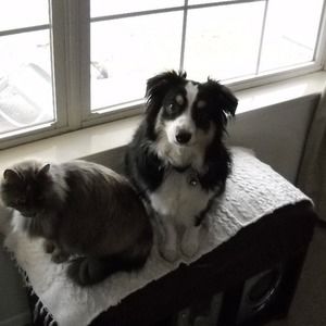 Meet your Posher, Mary